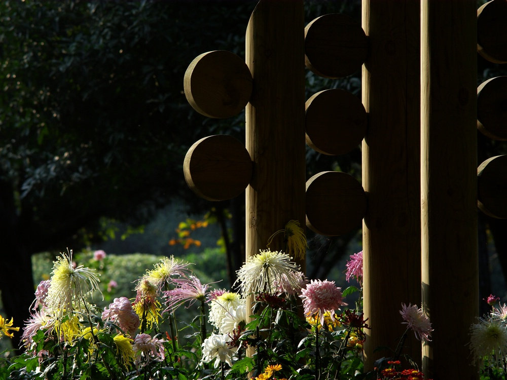IMGP5649.jpg
