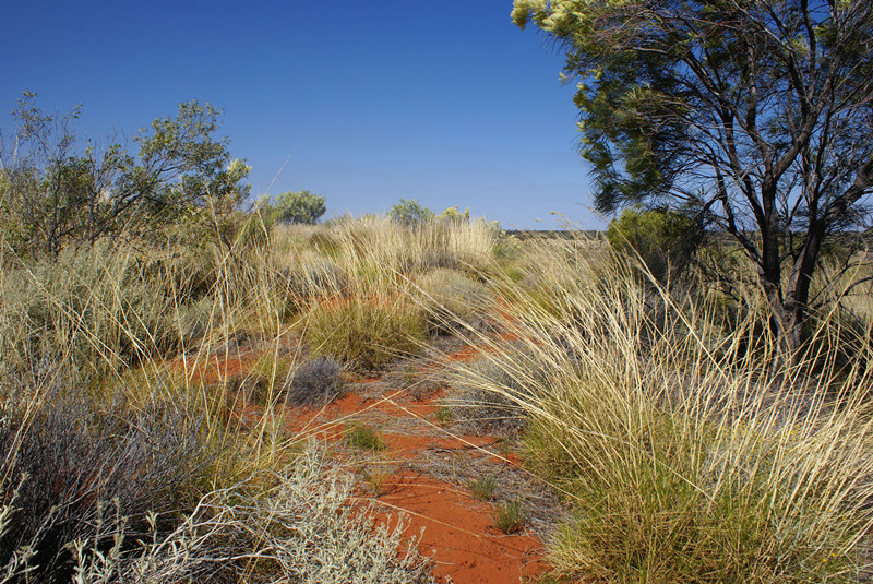 Uluru-Kata Tjuta.jpg