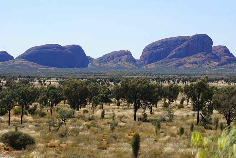 ʯȺ The Olgas.jpg