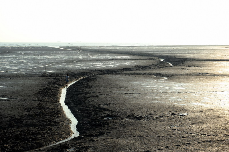 ZTO_5792.jpg