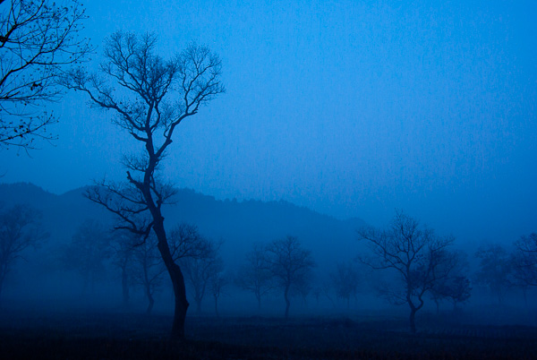 20111111-IMGP2058.jpg