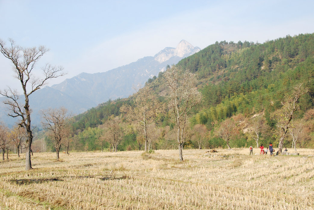 DSC_0005.JPG