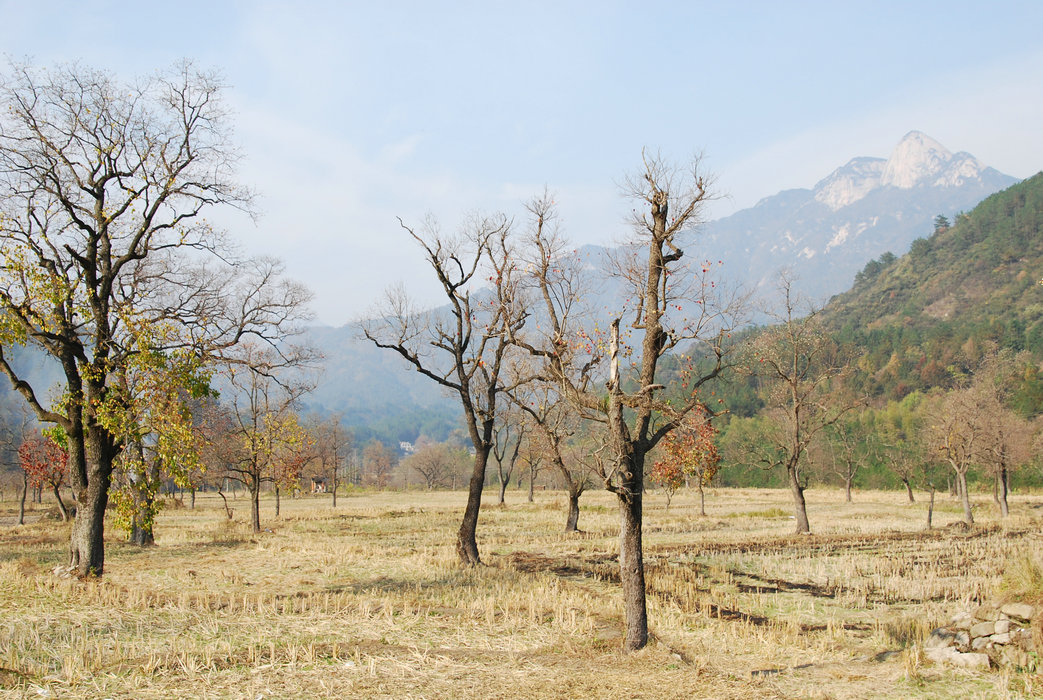 DSC_0007.JPG