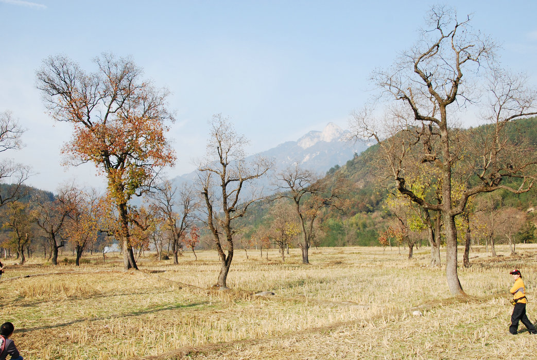 DSC_0008.JPG