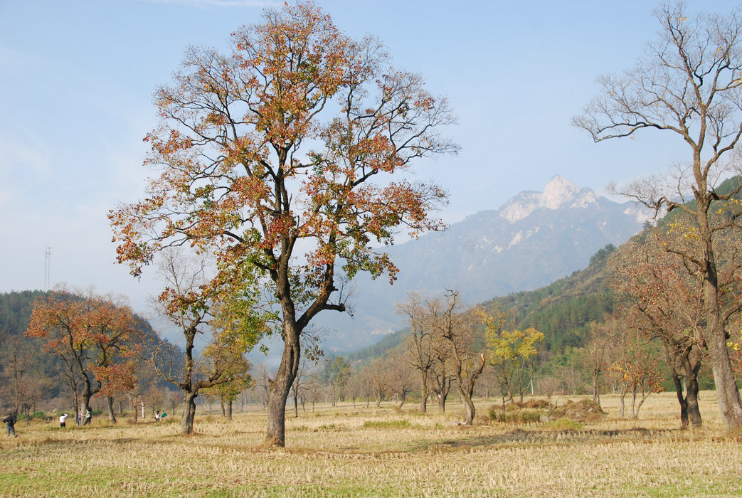 DSC_0011.JPG