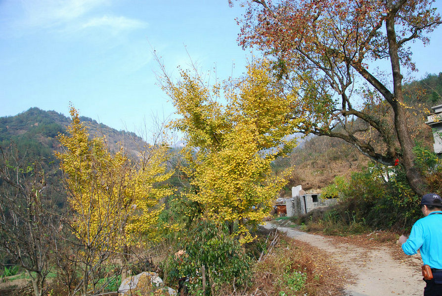 DSC_0014.JPG
