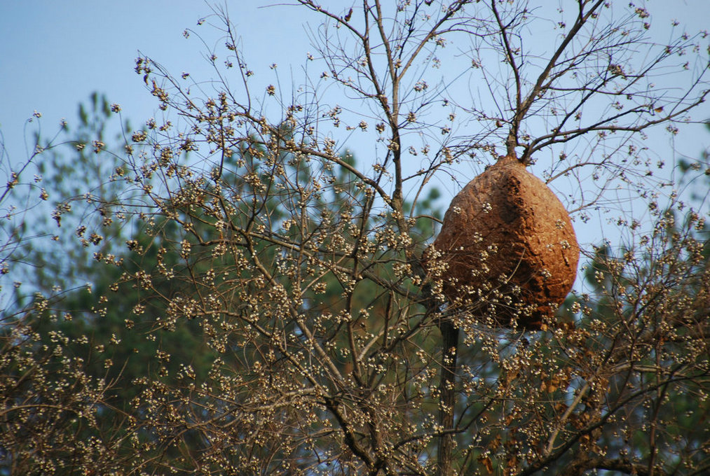 DSC_0017.JPG