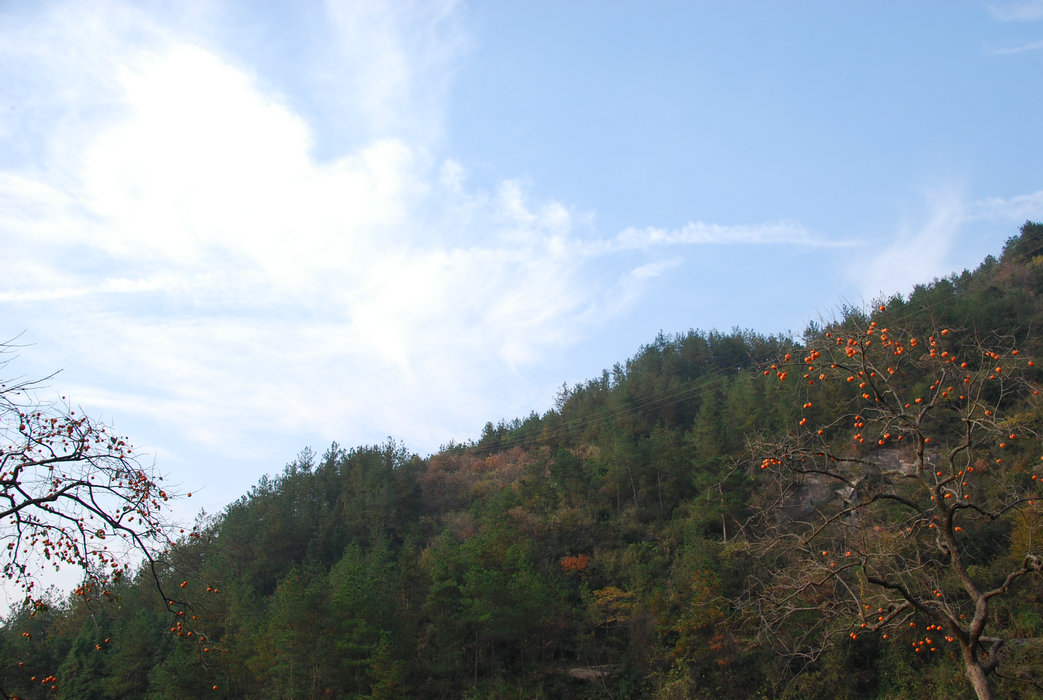 DSC_0026.JPG