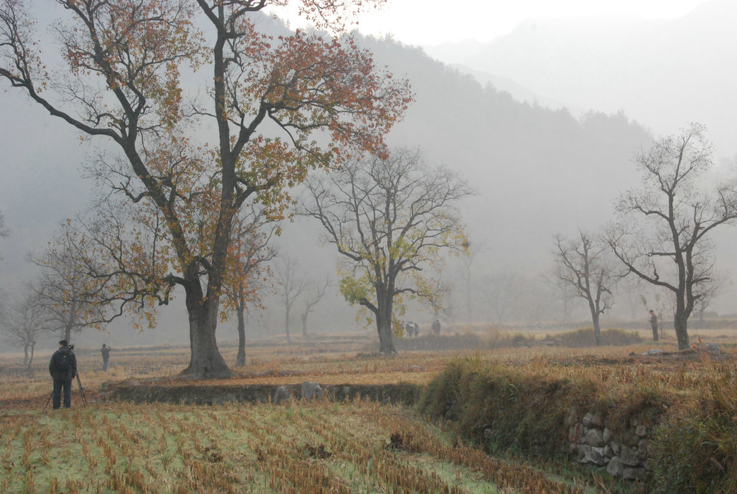 DSC_0043.JPG