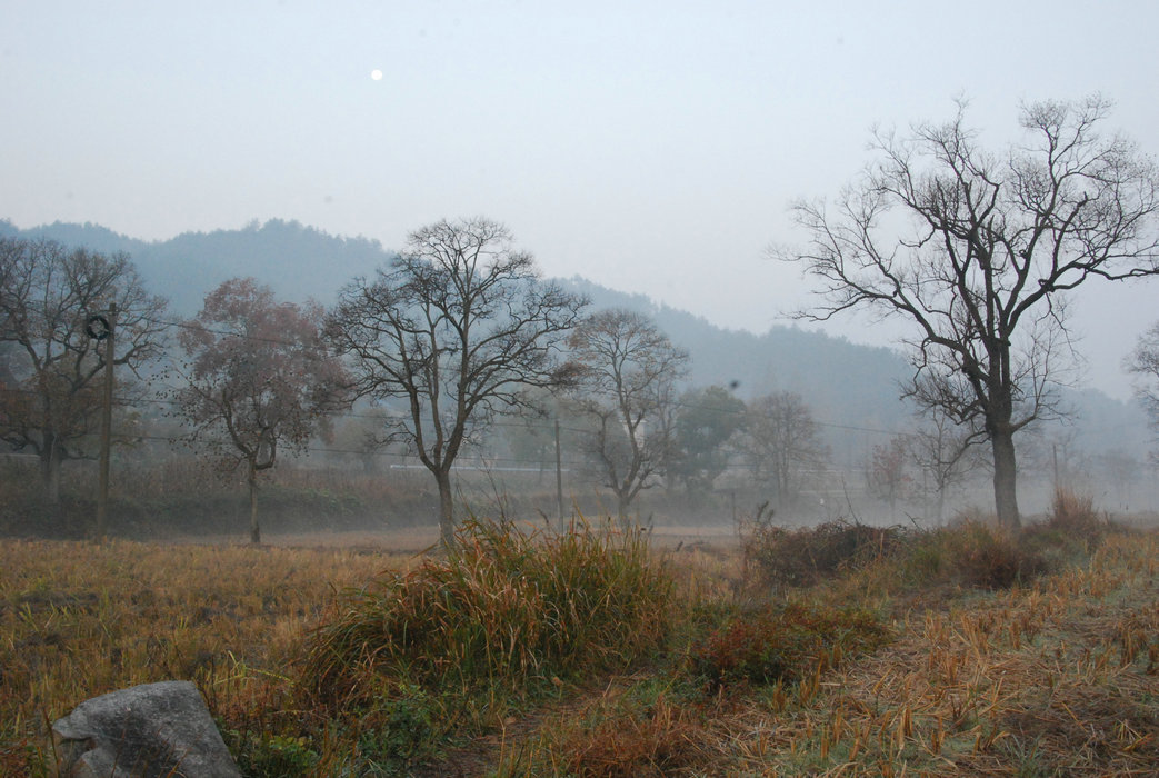 DSC_0040.JPG