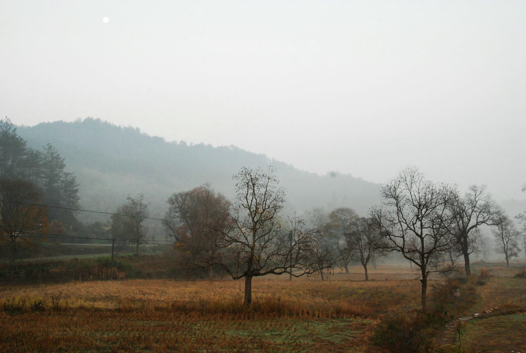 DSC_0038.JPG
