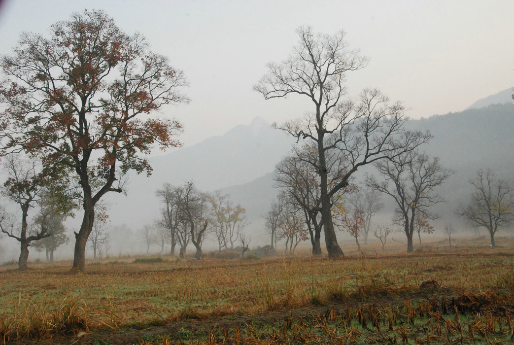 DSC_0047.JPG