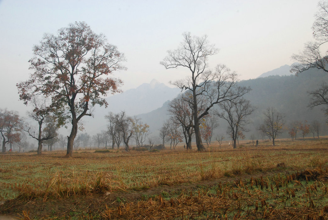 DSC_0053.JPG