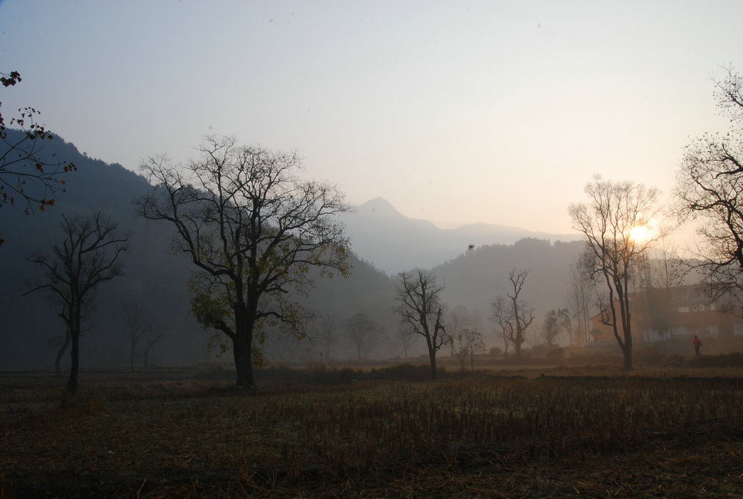 DSC_0062.JPG