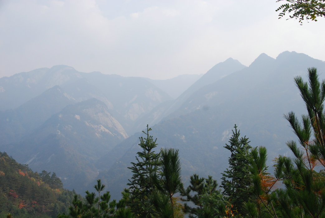 DSC_0083.JPG