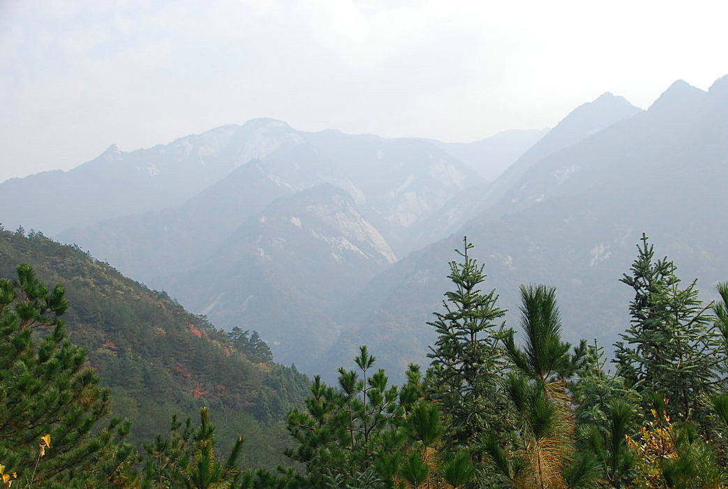 DSC_0080.JPG