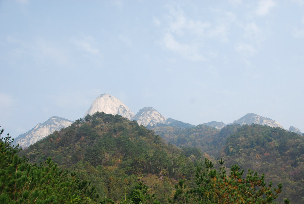 DSC_0075.JPG