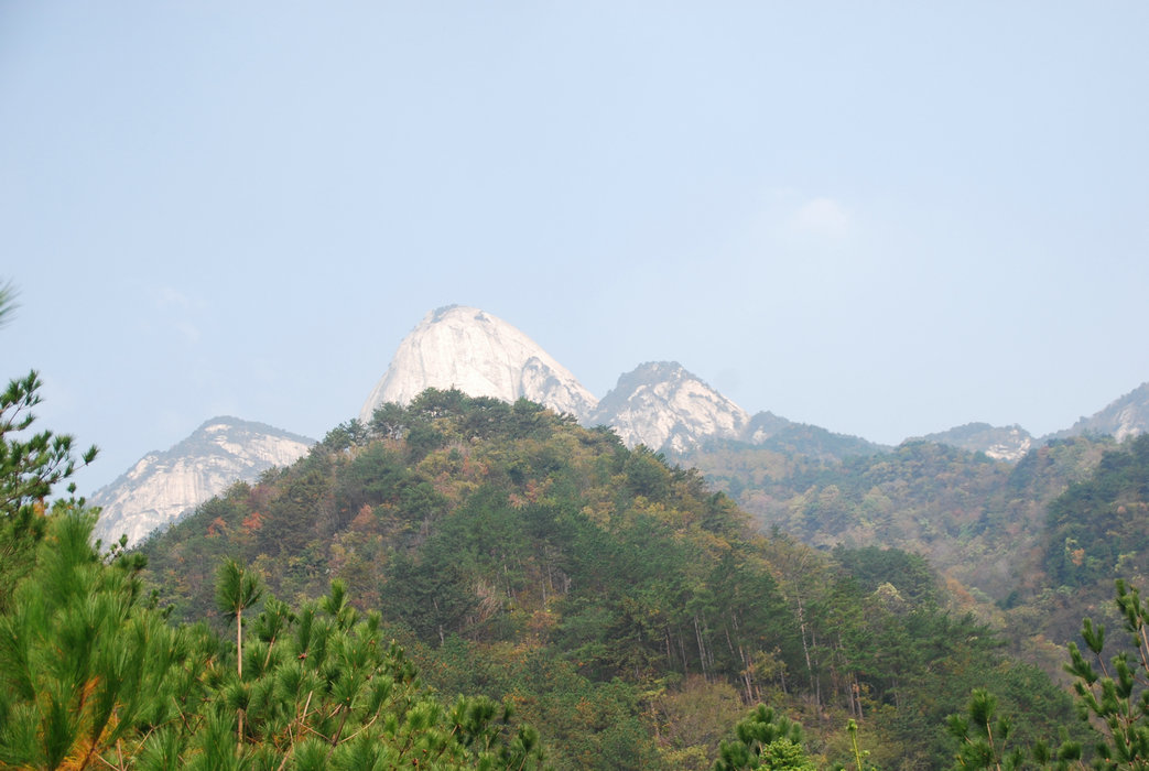 DSC_0082.JPG