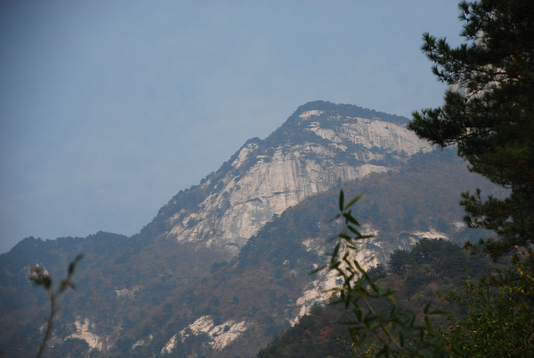 DSC_0095.JPG