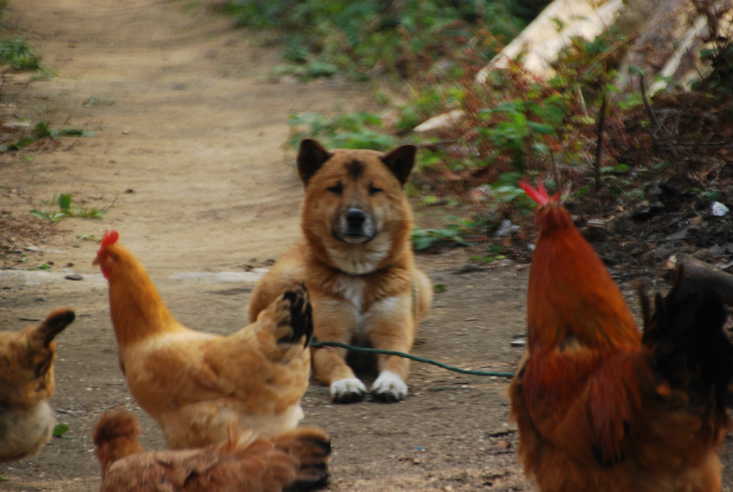 DSC_0099.JPG