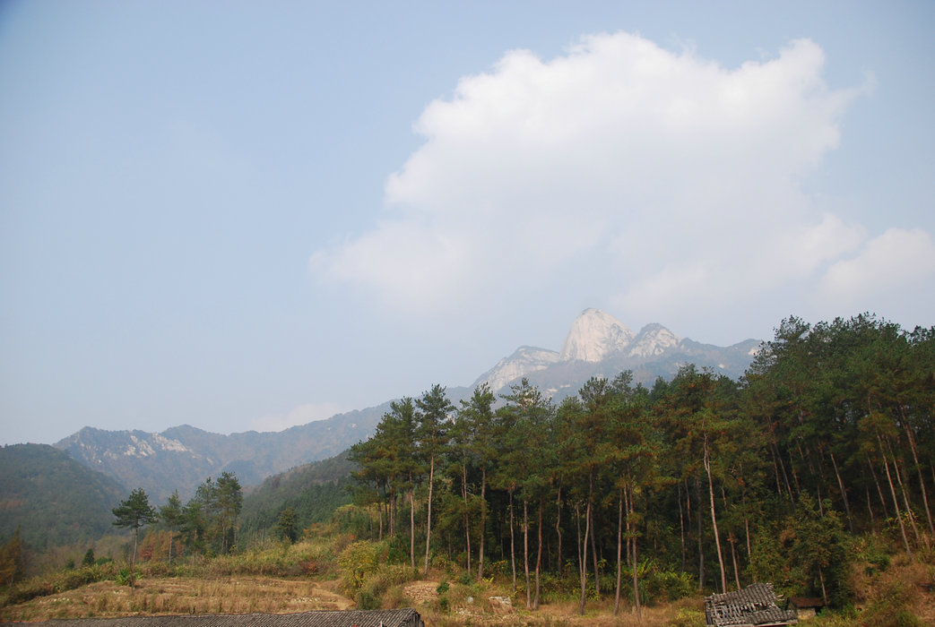DSC_0122.JPG