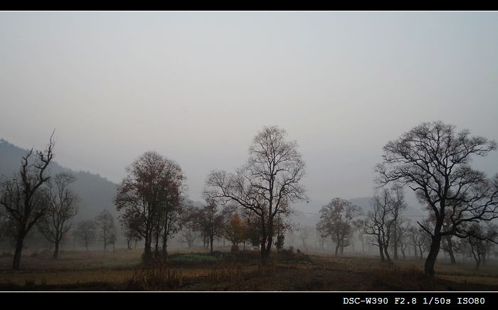 DSC06544  1.jpg