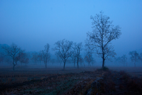 20111111-IMGP2059.jpg
