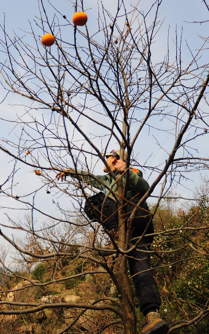 DSC_0148.jpg