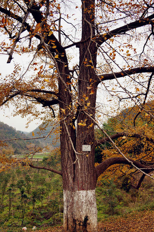 05.jpg