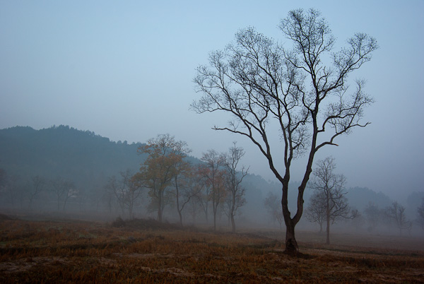 20111111-IMGP2063.jpg