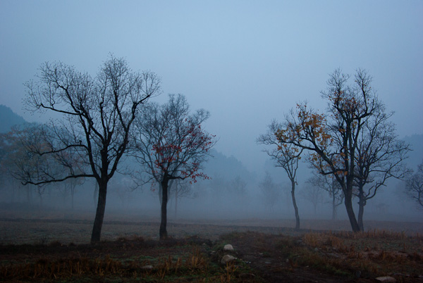 20111111-IMGP2061.jpg