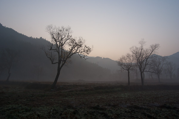 20111111-IMGP2065.jpg