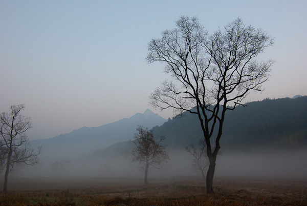 20111111-IMGP2086.jpg