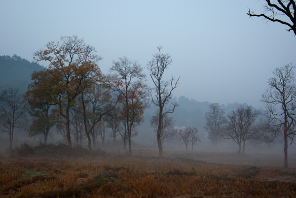 20111111-IMGP2068.jpg