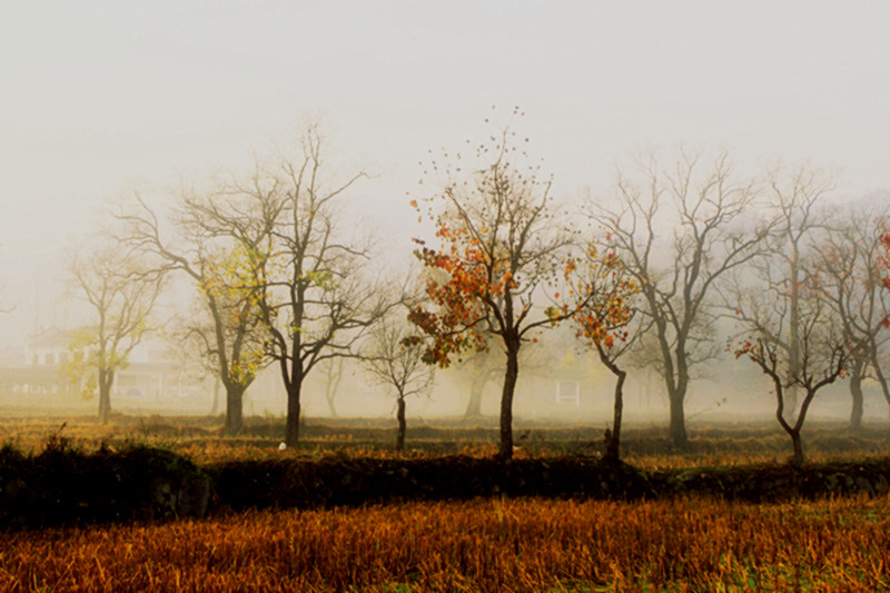 _mg_0229_.jpg