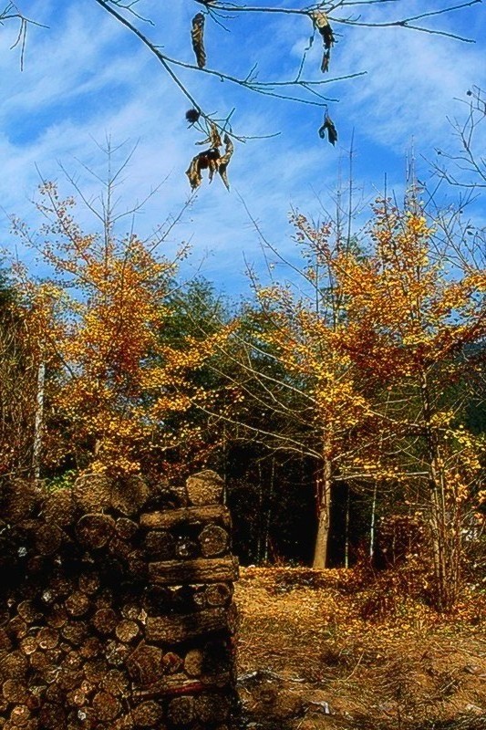 _mg_0013_.jpg