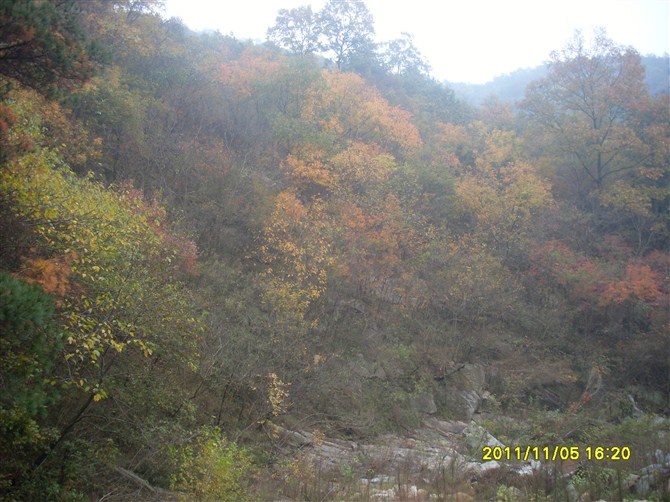 psbCAFK22QA.jpg