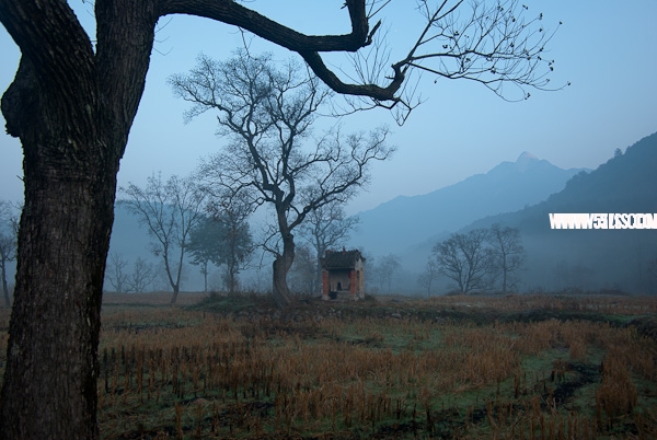 20111111-IMGP2107.jpg