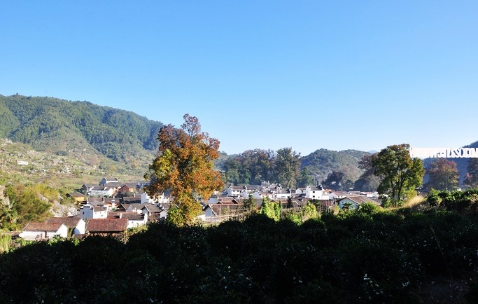 DSC_6473.jpg