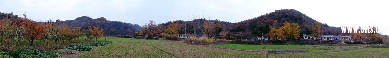 DSC01346.JPG