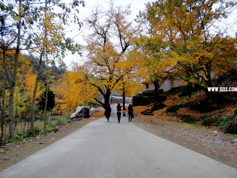DSC01413.JPG