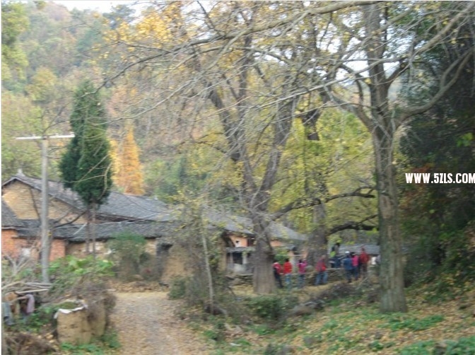 26.jpg