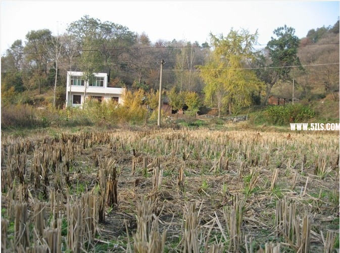 29.jpg