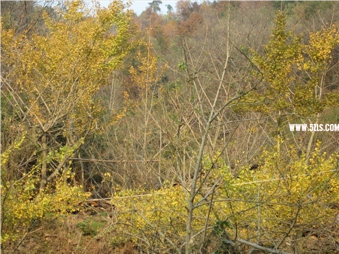 27.jpg