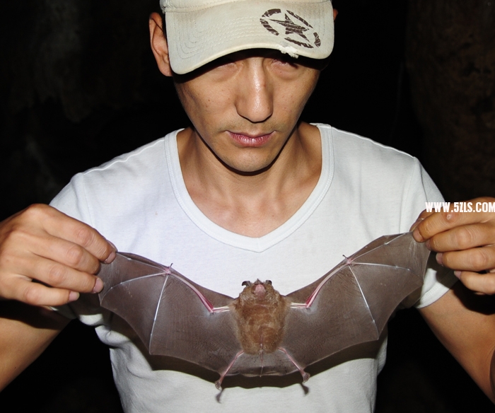 416_2554.JPG