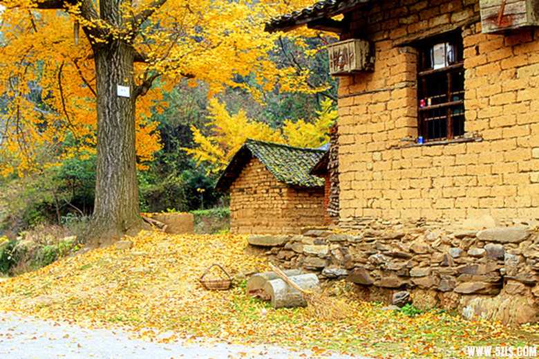 _MG_0616__.jpg