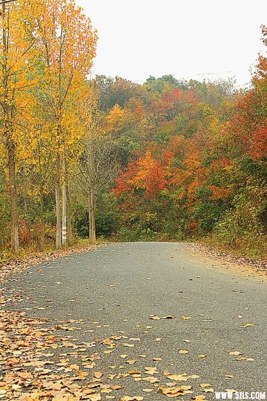 _MG_0490_.jpg