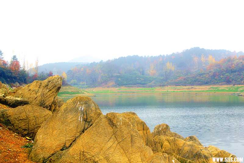 _MG_0480_.jpg