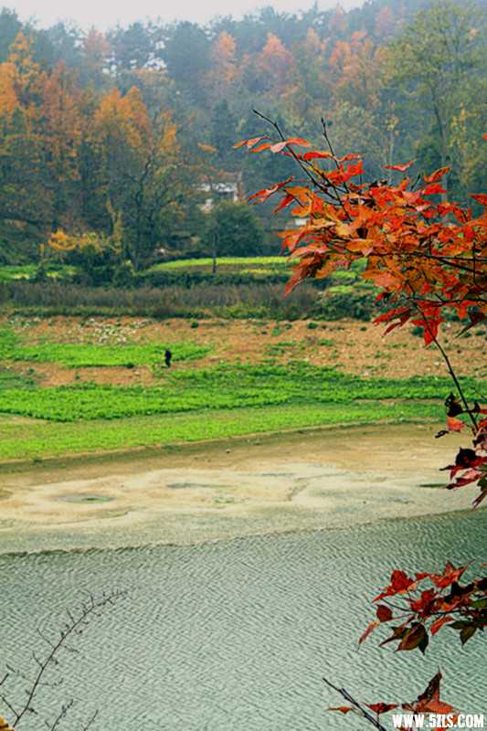 _MG_0525_.jpg