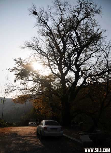 NAG_9894.jpg